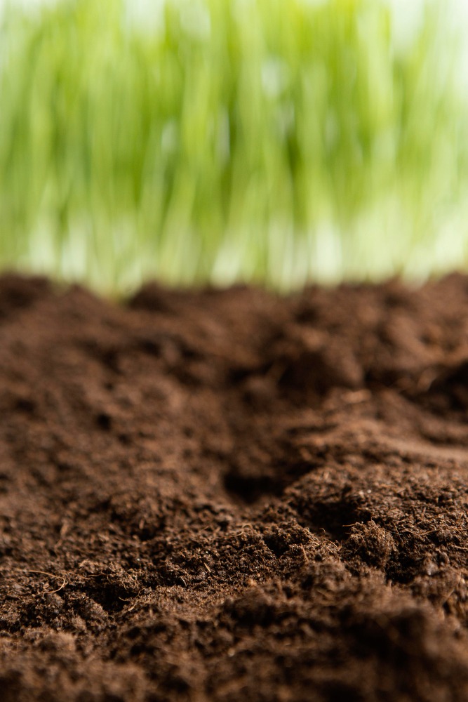 soil